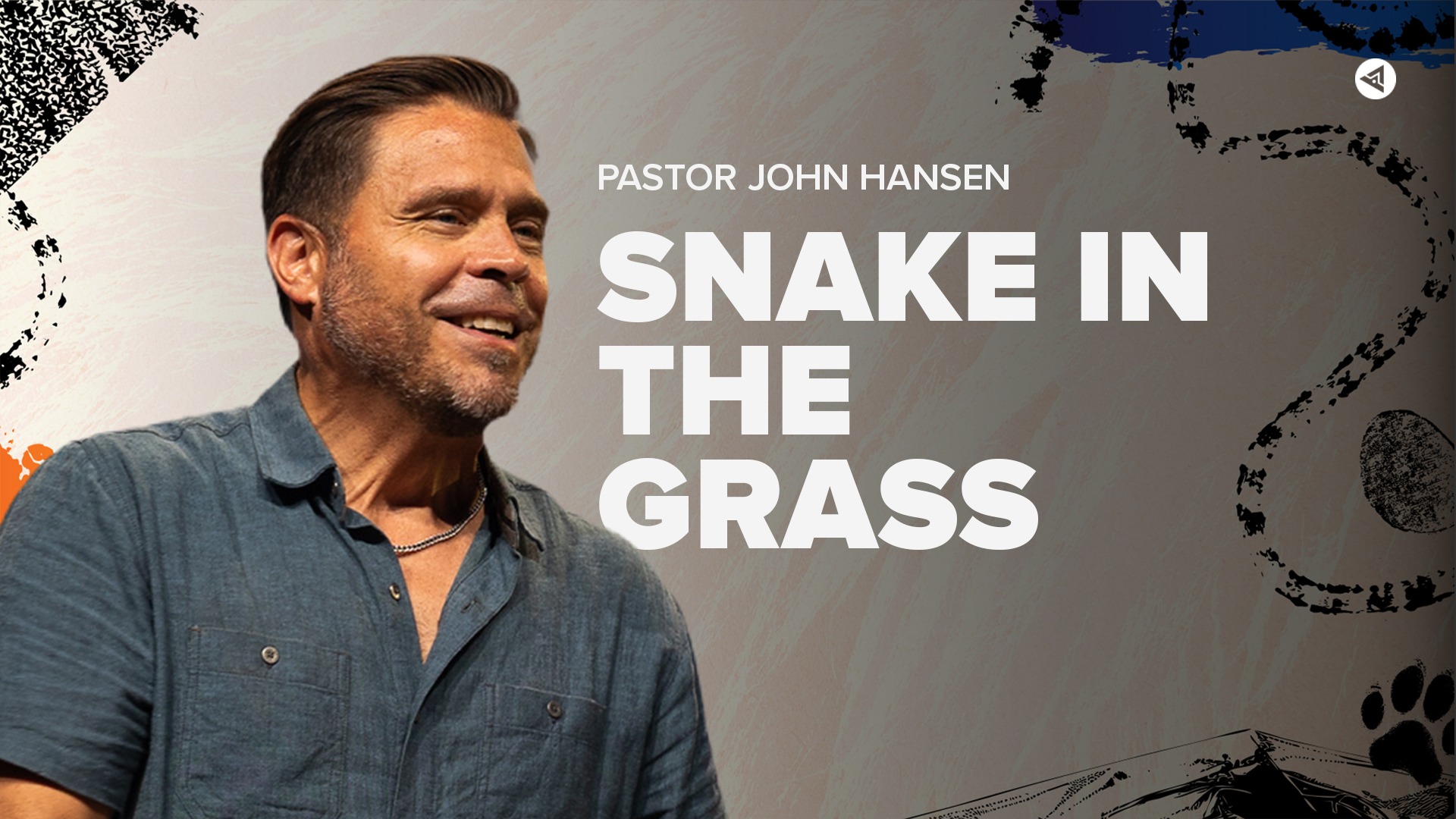 Snake in the Grass | John Hansen